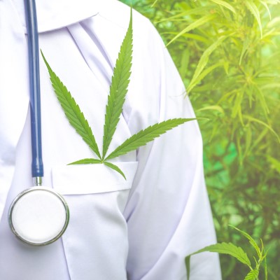 Navigating the Green Maze: A Guide to Choosing Medical Cannabis Providers in the UK