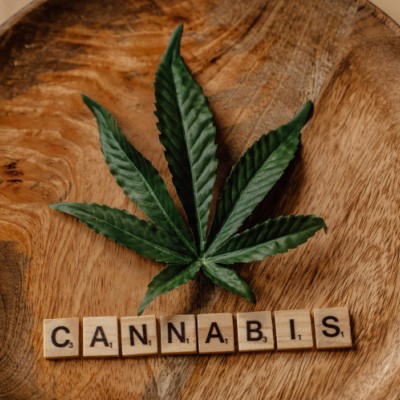 Key Considerations When Buying Cannabis from a Dispensary